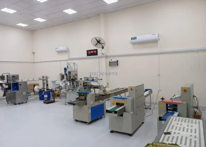 Running Wet Wipe and F&B packaging looking for investor / for sale