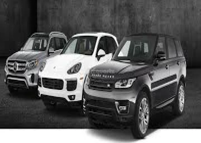 BUSINESS FOR SALE !!! Profitable LIMOUSINE BUSINESS FOR SALE WITH 60 CARS IN  DUBAI