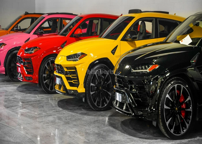 *BUSINESS FOR SALE !!! PROFITABLE LUXURY RENT A CAR BUSINESS FOR SALE