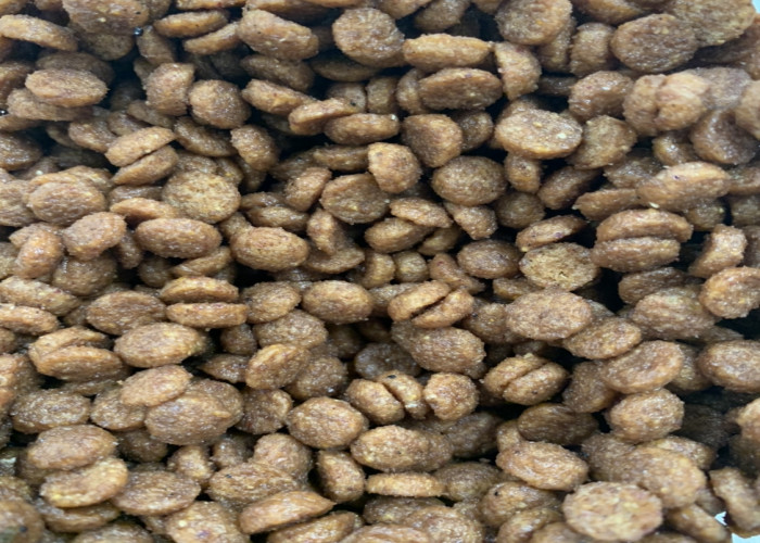 Dog Food Manufacture