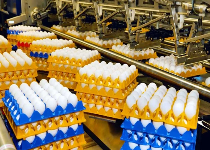 egg-milk-distribution-business-for-sale-in-ajman-business-for-sale
