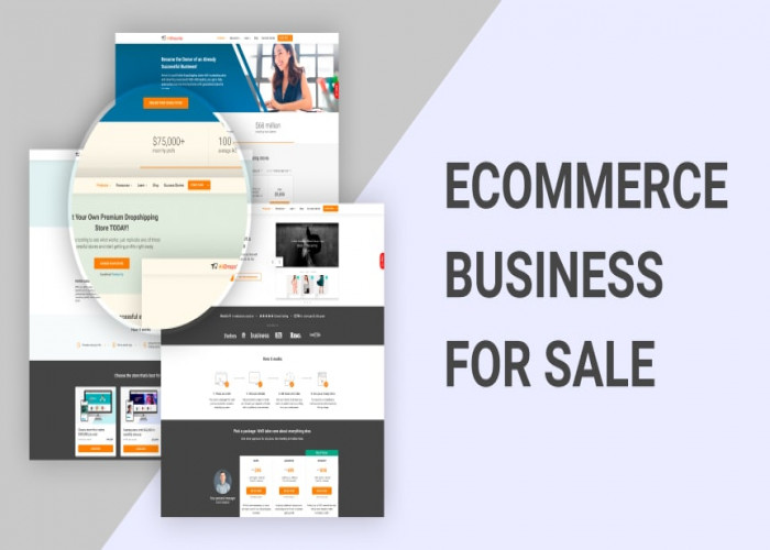 Ecommerce business for sale