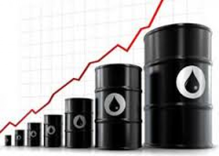 Petroleum Products Trading License for Sale in Dubai