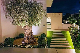 RUNNING LANDSCAPING BUSINESS FOR SALE (DUBAI)