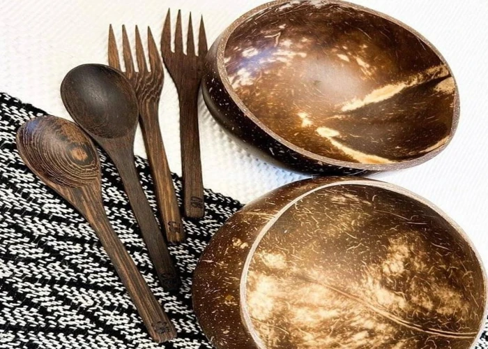 Successful 8 Years Old E-Commerce Eco Friendly Coconut Shell Business for Sale (With 3.8*/5 Rating & 675K Instagram Followers)