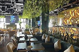 Premium Shisha & Dining Lounge for Sale | Gashisha Lounge