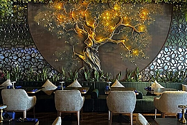 Premium Shisha & Dining Lounge for Sale | Gashisha Lounge