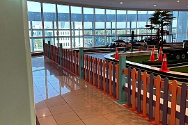Children’s Driving Experience & Toy Store Business for Sale