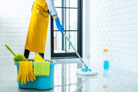 Cleaning Services company LLC for sale