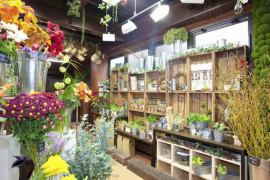 Flower shop for sale in Jumeriah