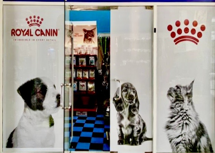 PROFITABLE PET STORE BUSINESS FOR SALE IN DUBAI
