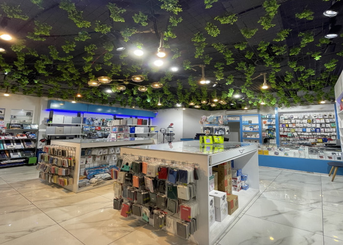 Electronic store - Mobiles and laptops