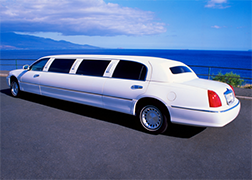 - Business Opportunity- Limousine Company for  SALE in Dubai