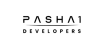 Pasha1 Developers Logo